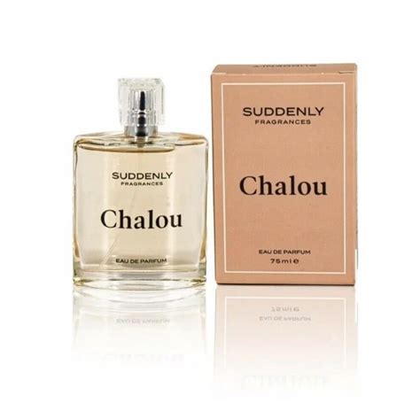 lidl perfume chalou|lidl perfume dupe list.